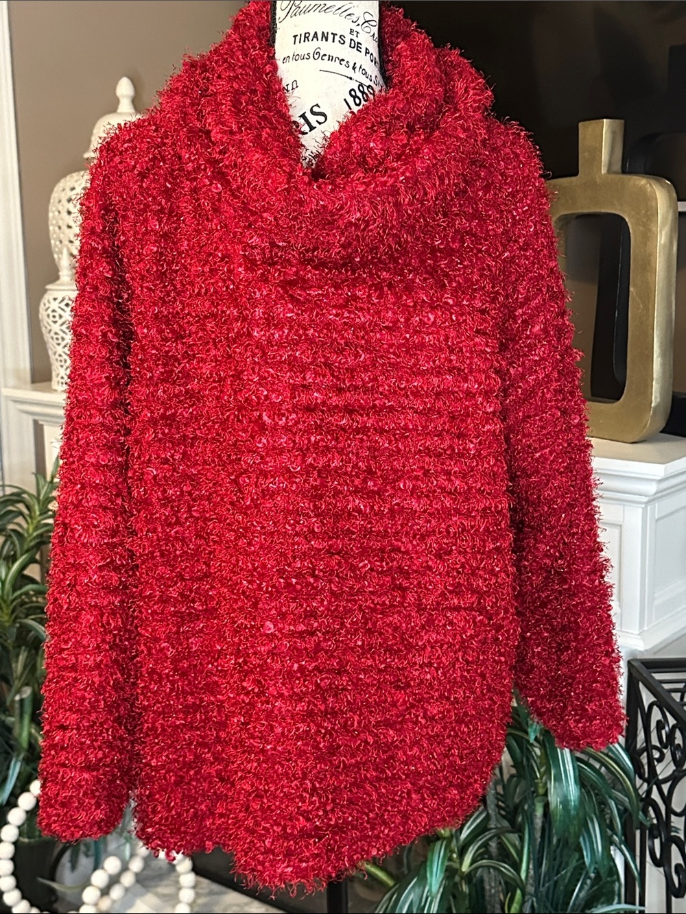 Plush Red Cowl Neck Sweater - Women's Cozy Pullover